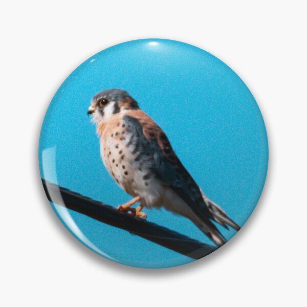 Item preview, American Kestrel designed and sold by jacindasgarner.