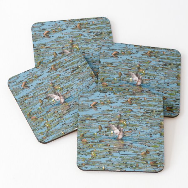 Item preview, Female wood duck designed and sold by jacindasgarner.