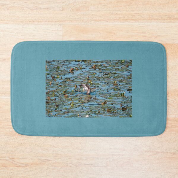Item preview, Female wood duck designed and sold by jacindasgarner.