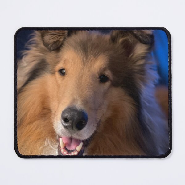 Item preview, Rough collie dog, Laddie designed and sold by Jan Wall.