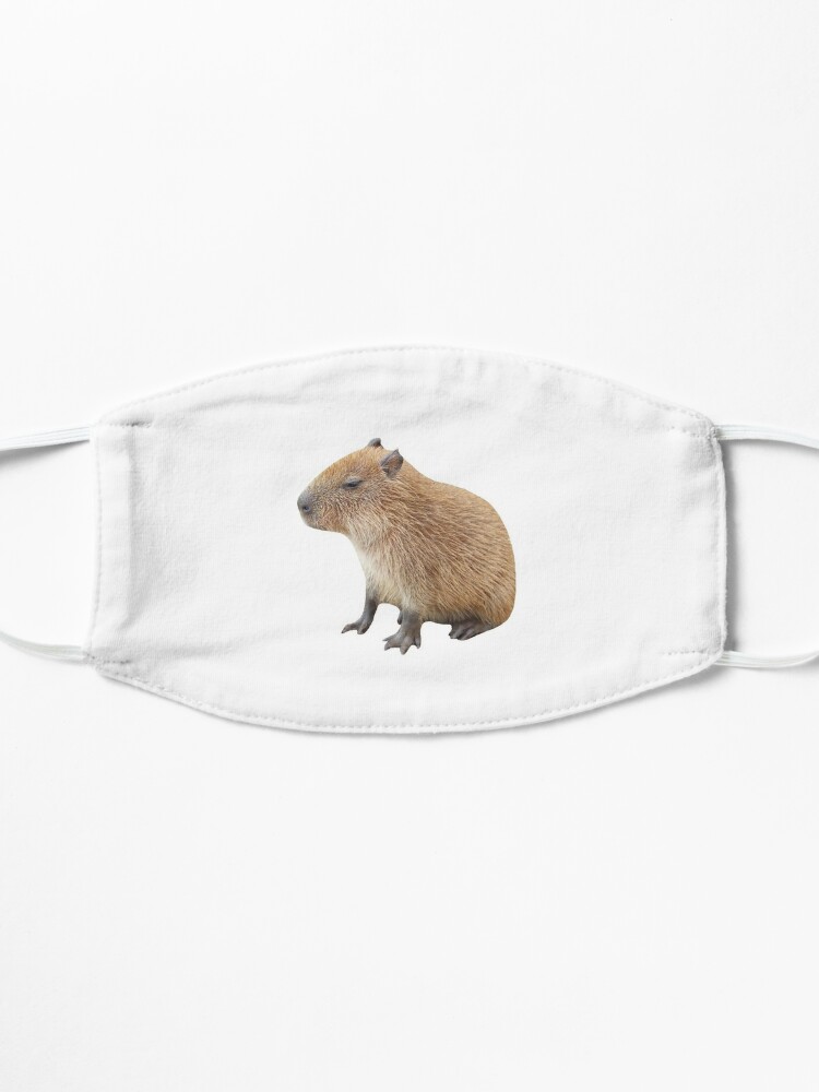 Capybara Meme Face Masks for Sale