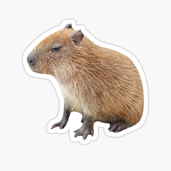 Adesivo Capivara Bebê - Capybaby