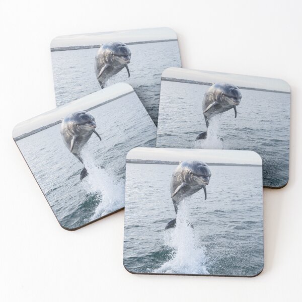 Item preview, A jumping Dolphin at Seahouses designed and sold by Wilphotography.