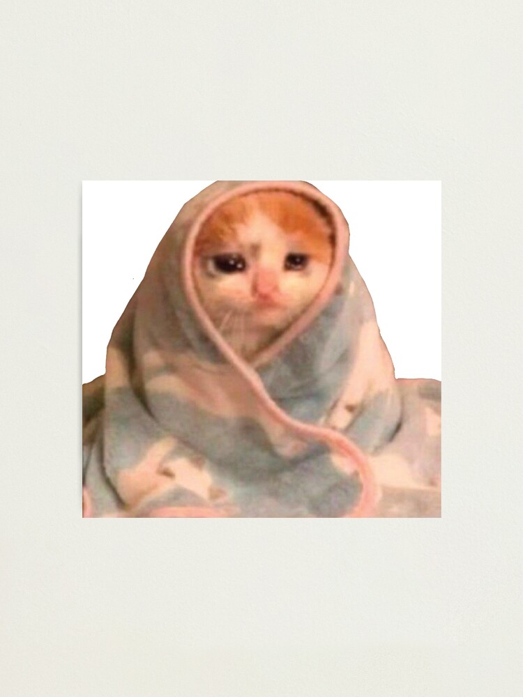 Sad Cat In Blanket Meme Greeting Card ubicaciondepersonas.cdmx.gob.mx