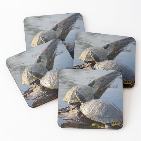 Item preview, Coastal Plain Cooters 1 designed and sold by Nature's Reflections.