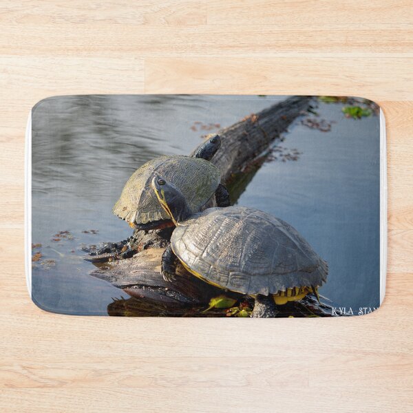 Item preview, Coastal Plain Cooters 1 designed and sold by Nature's Reflections.