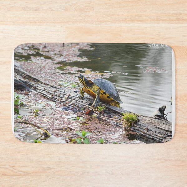 Item preview, Cooter 4 designed and sold by Nature's Reflections.