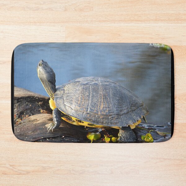 Item preview, Cooter 5 designed and sold by Nature's Reflections.