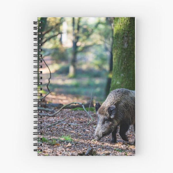 Item preview, Dutch Boar designed and sold by JMKphotos.