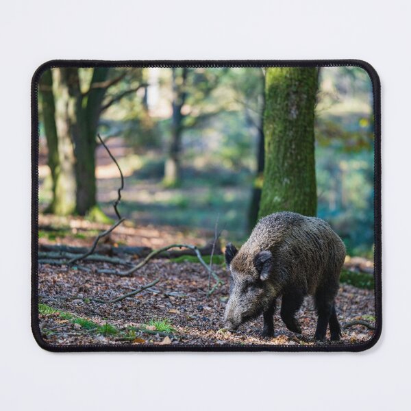 Item preview, Dutch Boar designed and sold by JMKphotos.