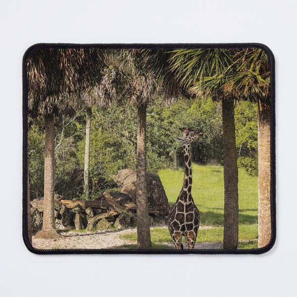 Item preview, Giraffe Grinning Tall and Proud under the Palms designed and sold by KbytesOfJax Outdoor and Nature.