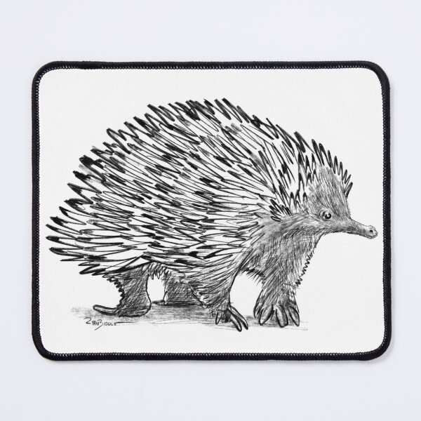 Item preview, Echidna designed and sold by Ryan Biddle.