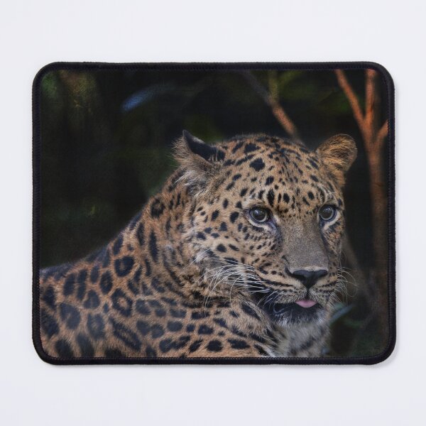 Item preview, Leopard Studies Man designed and sold by KbytesOfJax Outdoor and Nature.