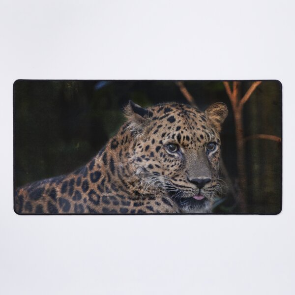 Item preview, Leopard Studies Man designed and sold by KbytesOfJax Outdoor and Nature.