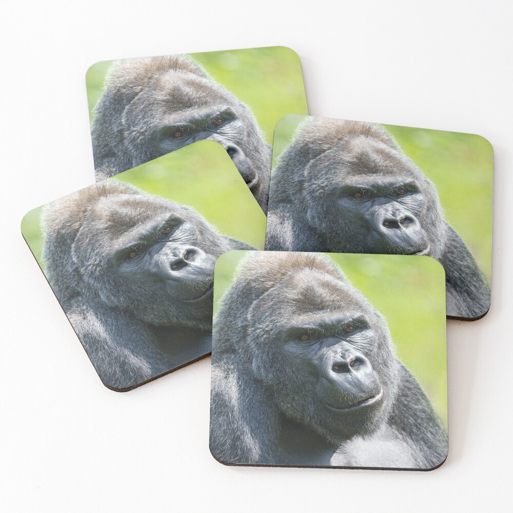 Item preview, Coasters (Set of 4) designed and sold by rawshutterbug.