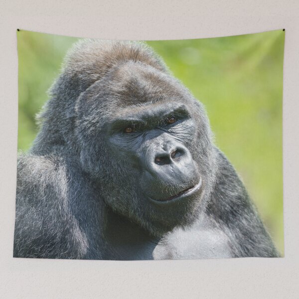 Item preview, Silverback Portrait designed and sold by rawshutterbug.