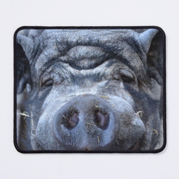 Item preview, Meet Willem designed and sold by Nicole W..