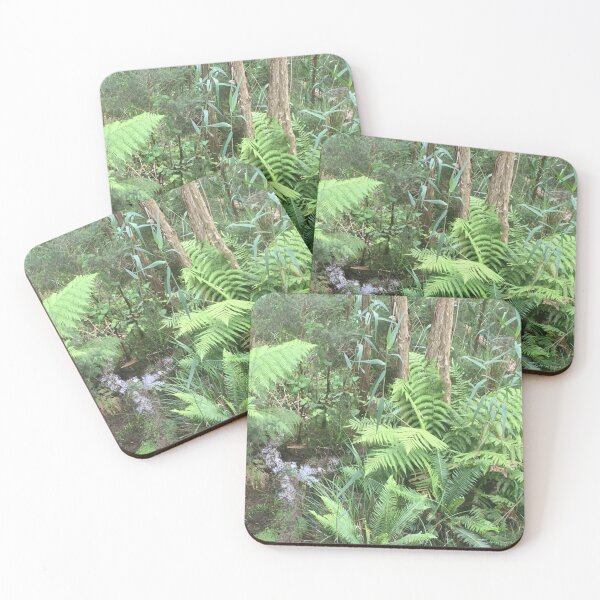 Item preview, Australian ferns, Botanic Gardens , Canberra #1 designed and sold by RogerRoy.