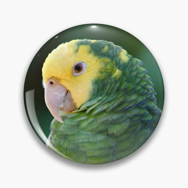 Item preview, Pretty Perched Amazon Parrot designed and sold by richardbryce.