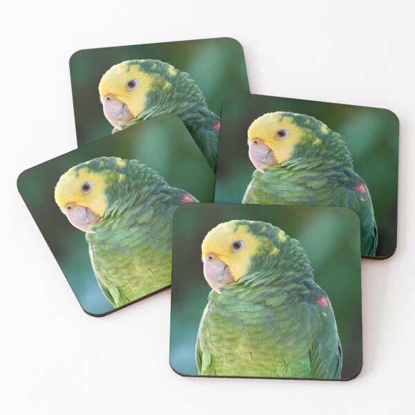 Item preview, Pretty Perched Amazon Parrot designed and sold by richardbryce.