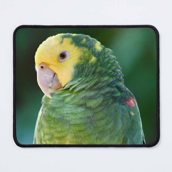 Item preview, Pretty Perched Amazon Parrot designed and sold by richardbryce.