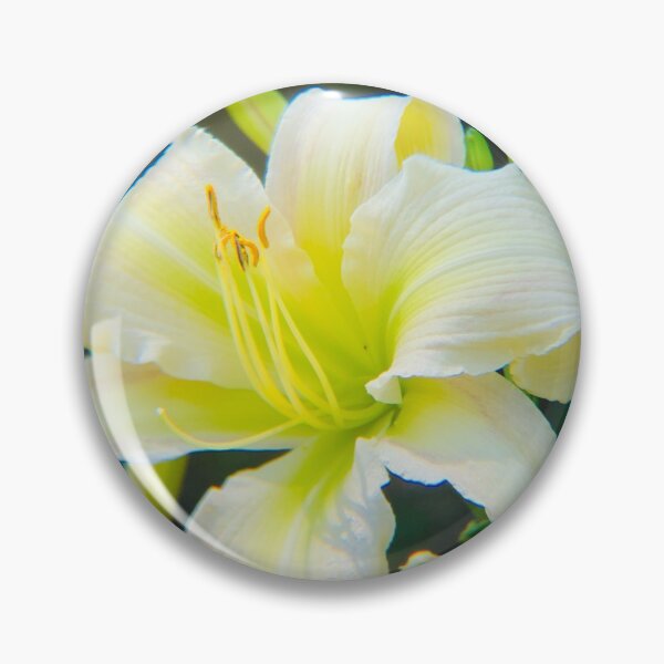 Item preview, Flower Photography  designed and sold by Inkgauged2.