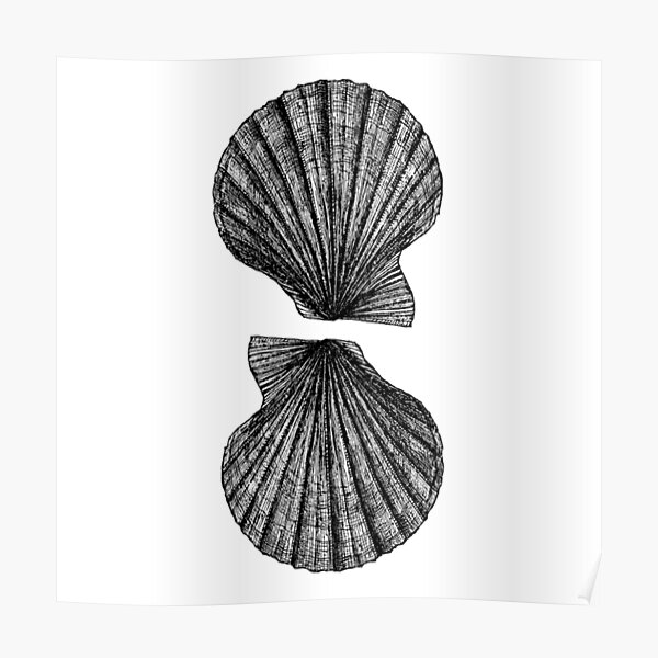 Scallop Shells in Black and Gold Art Fabric