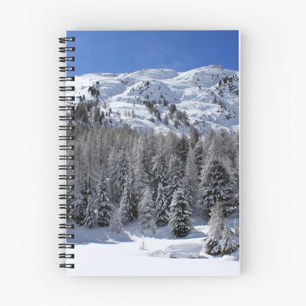 Item preview, Winter in Bernina pass designed and sold by annalisa56.