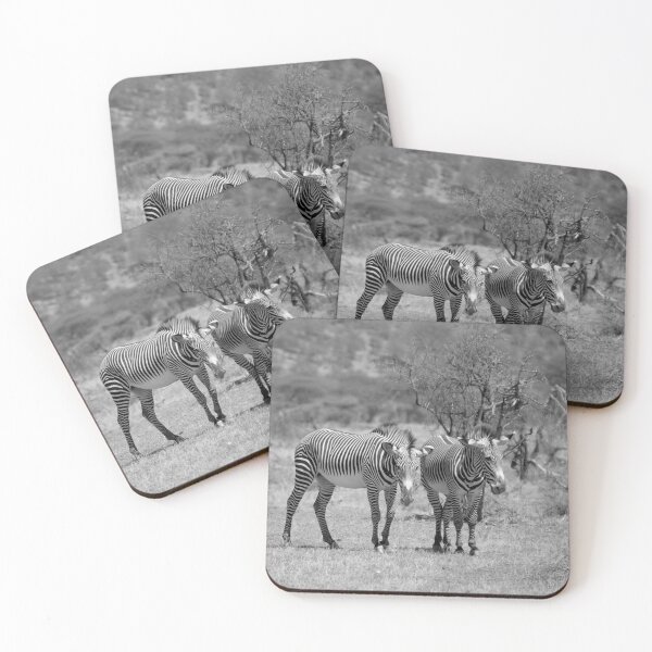 Item preview, Grevy's Zebras at Samburu, Kenya designed and sold by rogersmith.