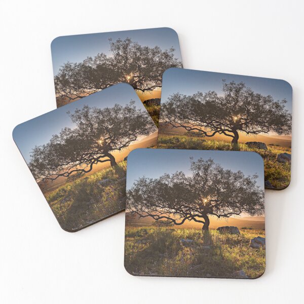 Item preview, Burning Bush designed and sold by Andrew Dickman.