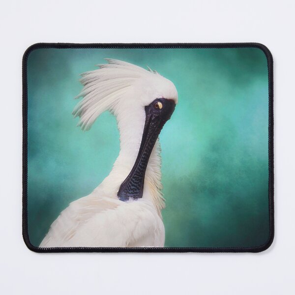 Item preview, Royal Spoonbill designed and sold by Bevlea Ross.