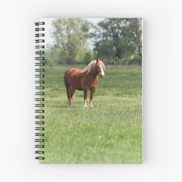 Item preview, Lonely sorrel horse on green pasture designed and sold by Lukasz Szczepanski.