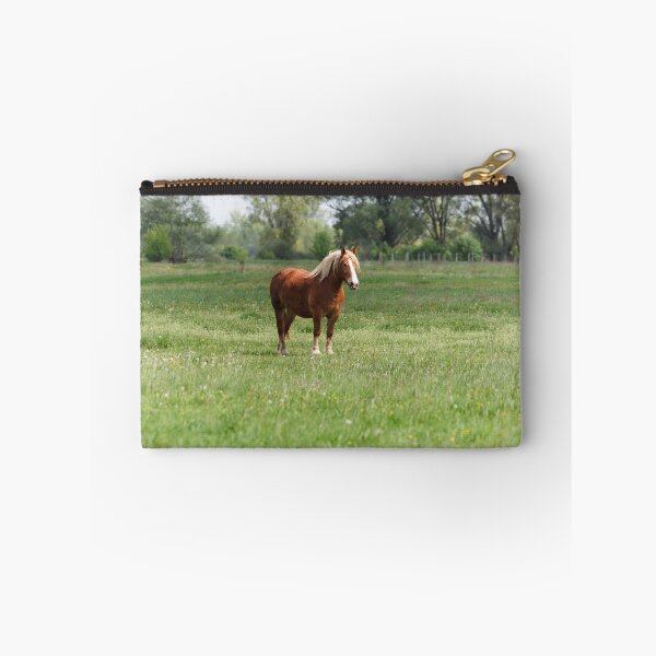 Item preview, Lonely sorrel horse on green pasture designed and sold by Lukasz Szczepanski.