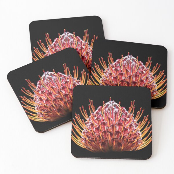 Item preview, Protea designed and sold by MarkFoleyPhoto.