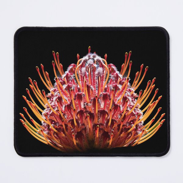 Item preview, Protea designed and sold by MarkFoleyPhoto.