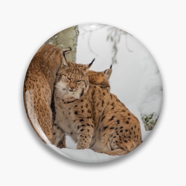 Item preview, Time to cuddle, lynx in the snow designed and sold by Ingo Gerlach.