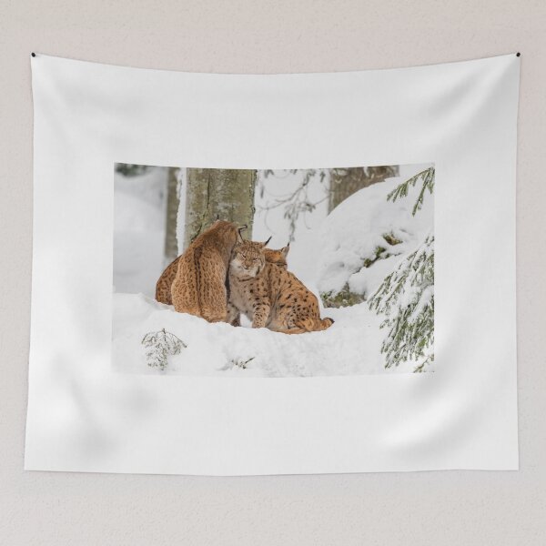 Item preview, Time to cuddle, lynx in the snow designed and sold by Ingo Gerlach.
