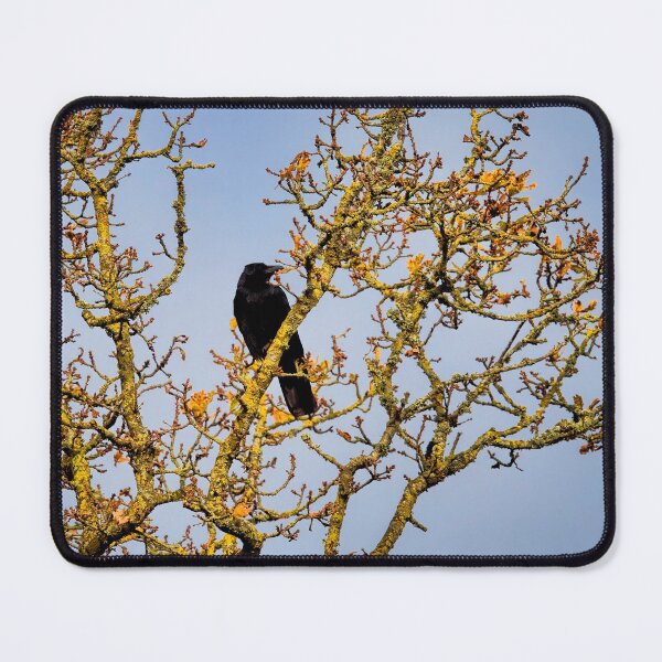 Item preview, Crow in Bare Winter Tree at Seaton Wetlands designed and sold by Dorset Girl.
