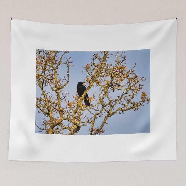 Item preview, Crow in Bare Winter Tree at Seaton Wetlands designed and sold by Dorset Girl.