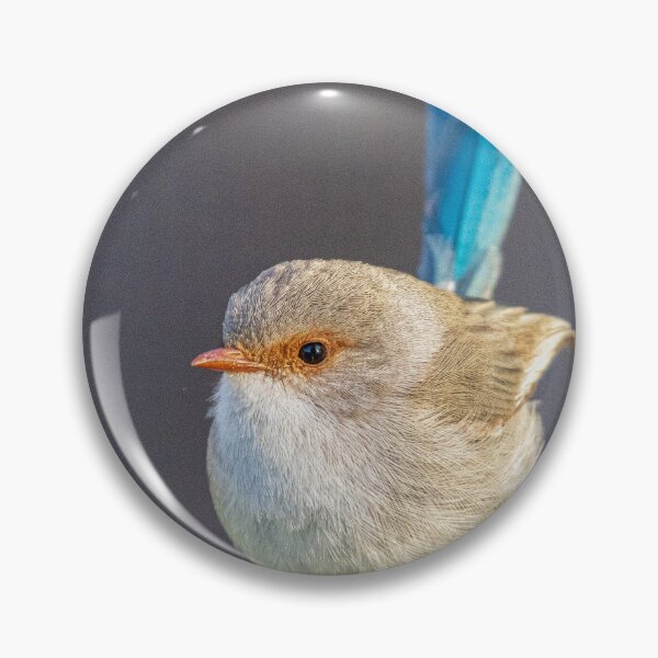 Item preview, female wren  designed and sold by Coen-87.