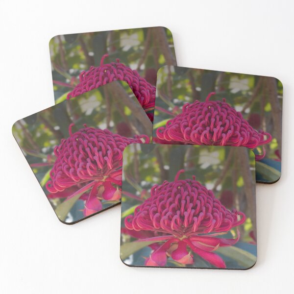 Item preview, Waratah designed and sold by MarkFoleyPhoto.