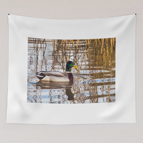 Item preview, Mallard Drake at Seaton Wetlands designed and sold by Dorset Girl.