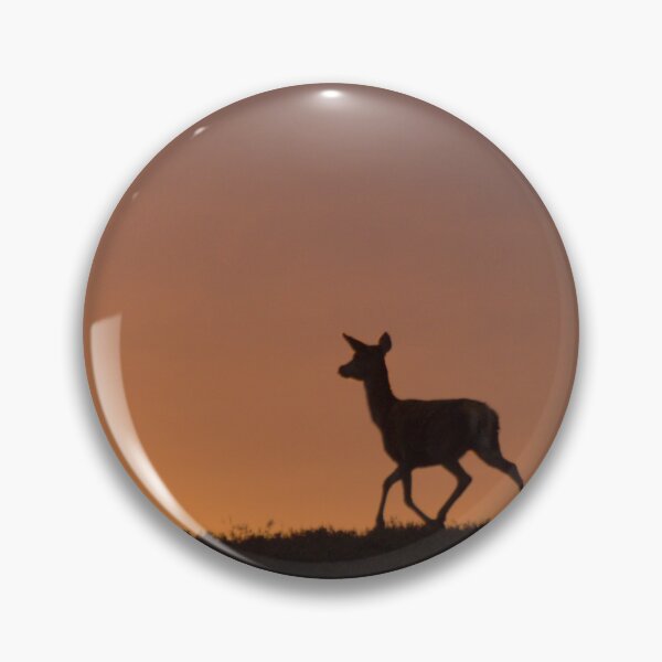 Item preview, Red Deer and the Rising Sun  designed and sold by Macrae images.