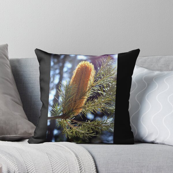 Aperçu de l'œuvre Banksia créée et vendue par MarkFoleyPhoto.