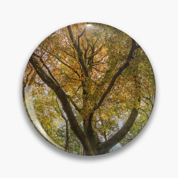 Item preview, Beech Trees designed and sold by Tony North.
