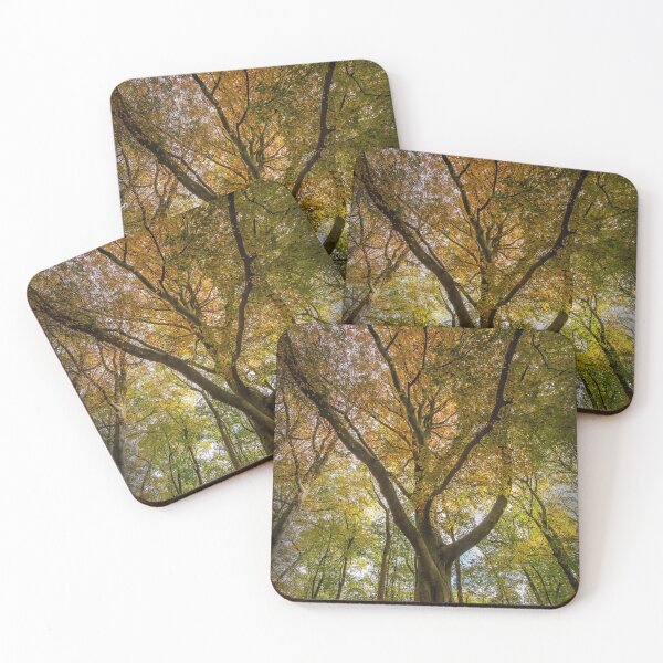 Item preview, Beech Trees designed and sold by Tony North.