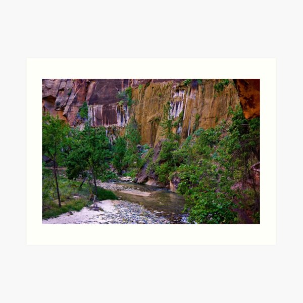 Zion National Park/ Virgin River Art Print