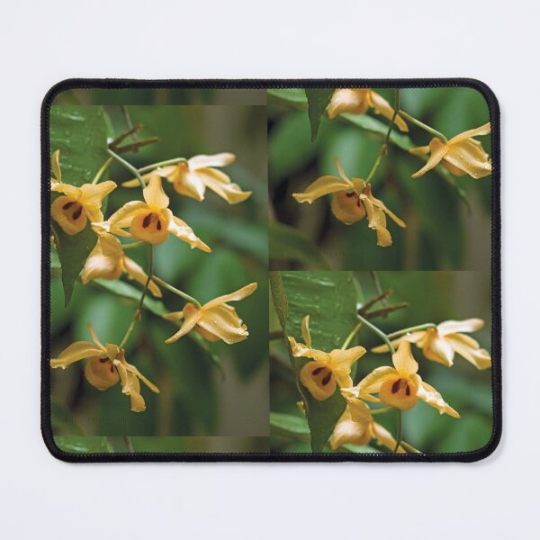 Item preview, Golden Wings designed and sold by Kerryn Madsen-Pietsch.