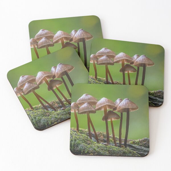 Item preview, Clustered Bonnet Mushrooms designed and sold by Tony North.