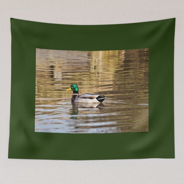 Item preview, Mallard Drake at Seaton Wetlands designed and sold by Dorset Girl.